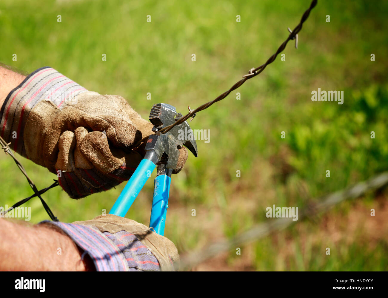 L'escrime : vieux Barb Wire Fence ferme avec la main de l'outil d'escrime Banque D'Images