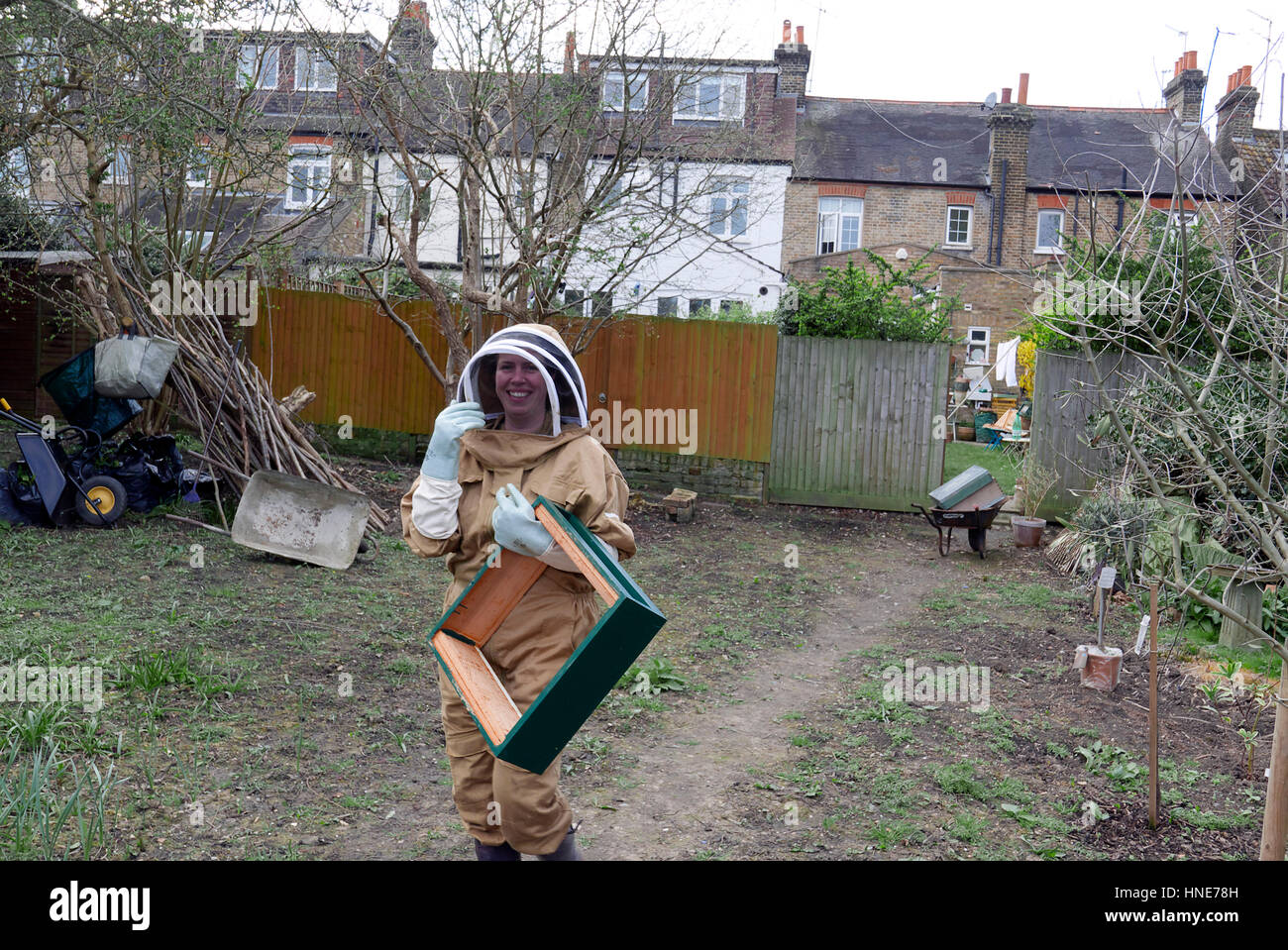 United Kingdom London ealing apiculture urbaine dans le jardin arrière Banque D'Images