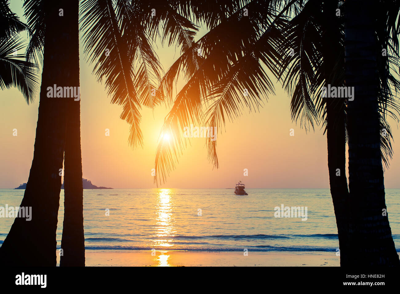 Magnifique coucher de soleil sur une plage tropicale à feuilles de palmier. Banque D'Images