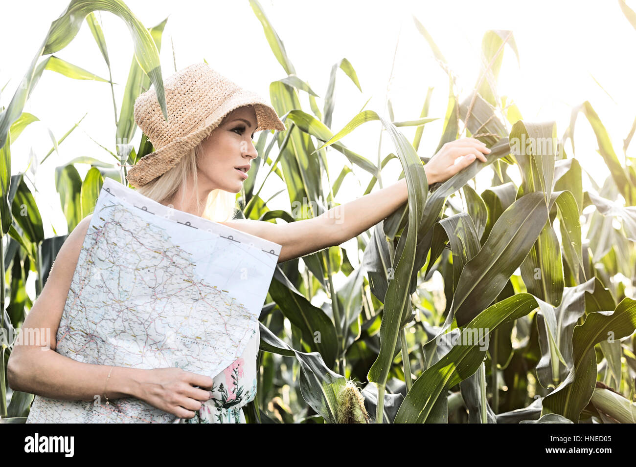 Femme regardant à travers des plantes tout en tenant la carte aux beaux jours Banque D'Images