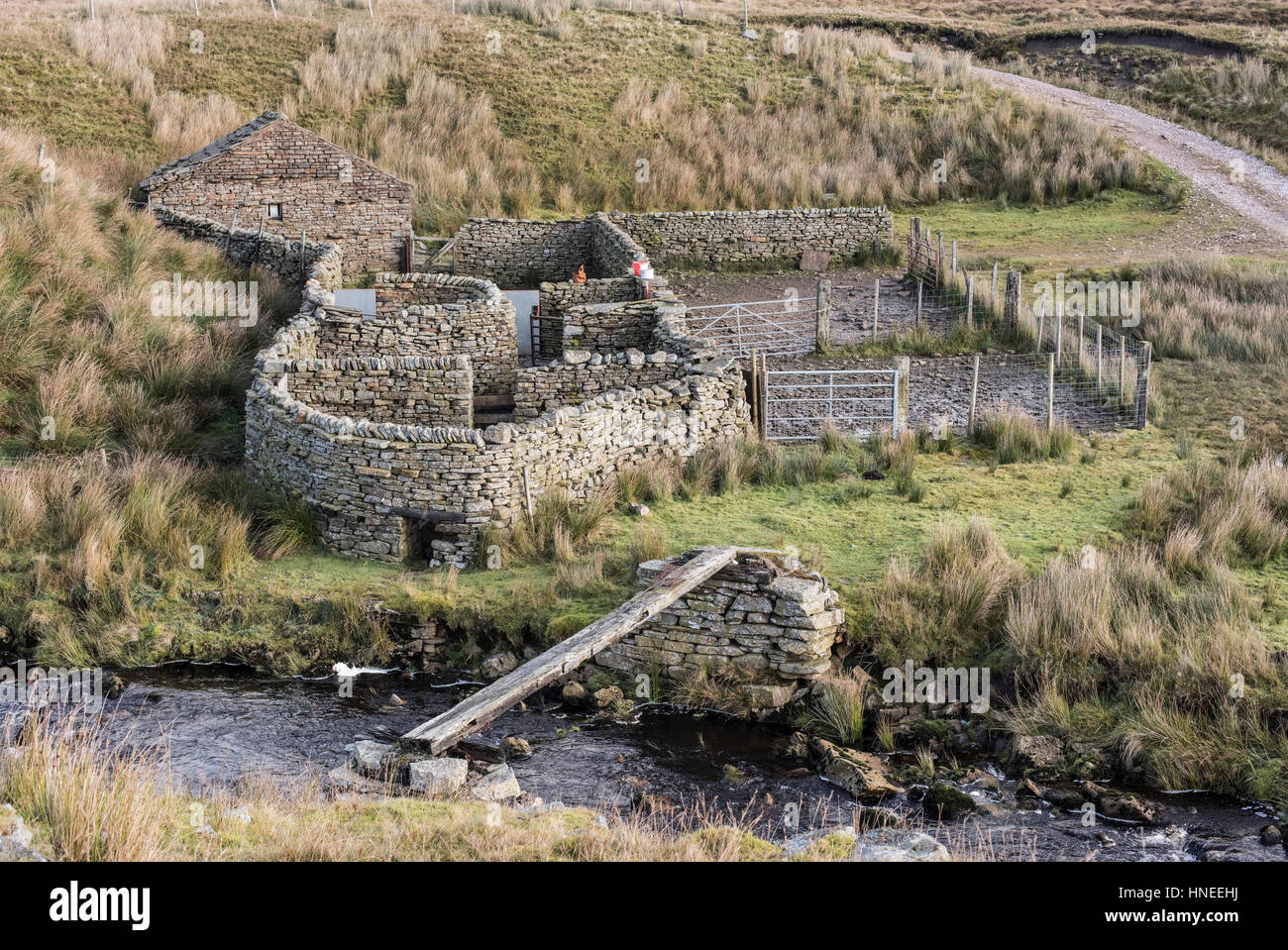 Bergerie et hut à peu Sleddale Beck, Birkdale, composé de murs de pierres sèches des stylos et une cabane de berger. Yorkshire Dales Banque D'Images