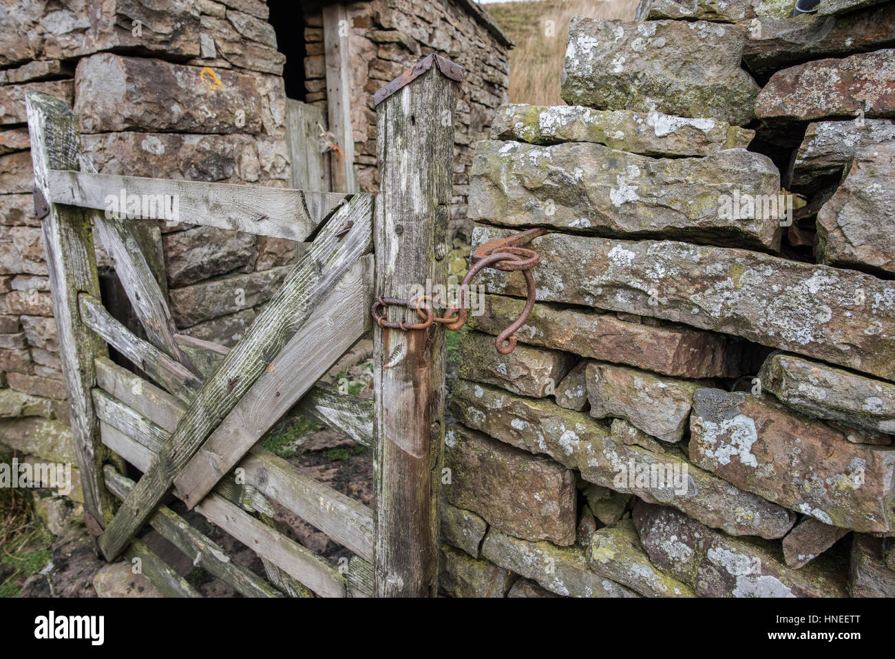 Barrière en bois avec verrou en bergerie, Birkdale, Yorkshire Dales Banque D'Images