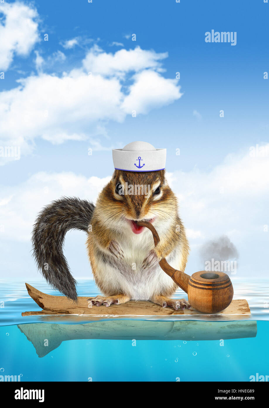 Drôle de concept mariner, animal flottant chipmunk Banque D'Images