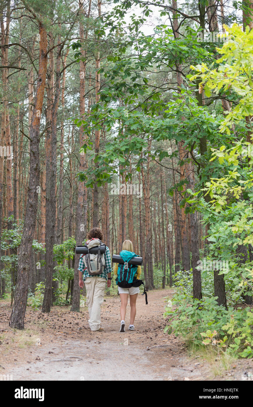Vue arrière de la randonnée couple walking in forest Banque D'Images