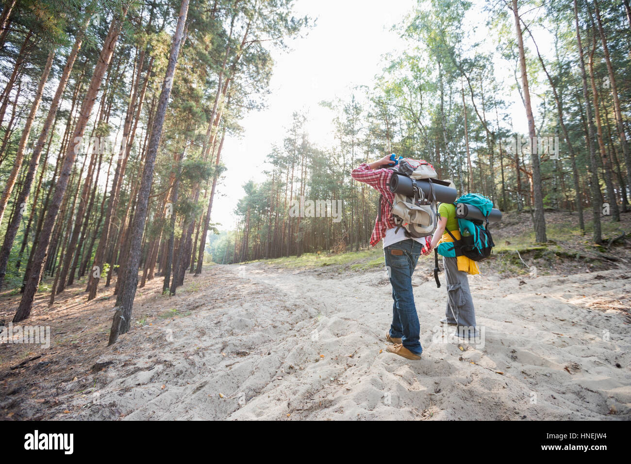 Vue arrière de la randonnée couple holding hands en marchant dans la forêt Banque D'Images