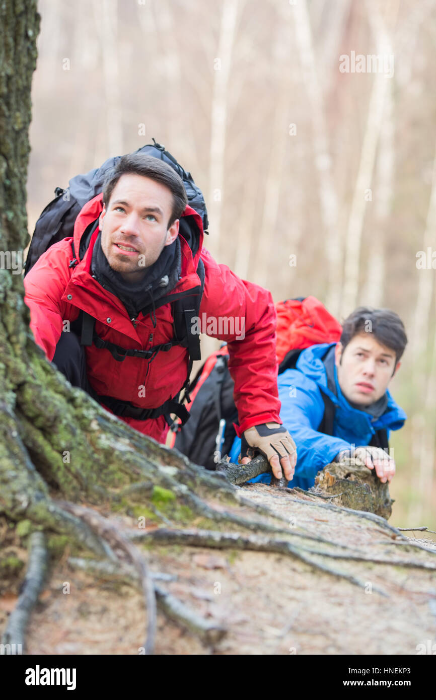Les randonneurs masculins trekking en forêt Banque D'Images