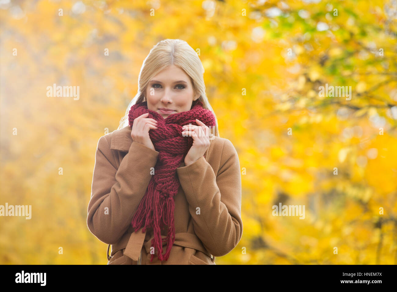 Portrait de femme belle maintenant le silencieux autour du cou dans le parc en automne Banque D'Images