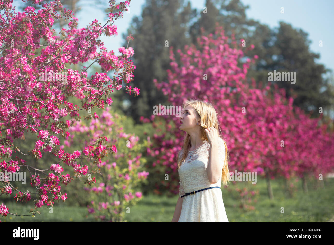 Belle fille de printemps en fleurs jardin Banque D'Images