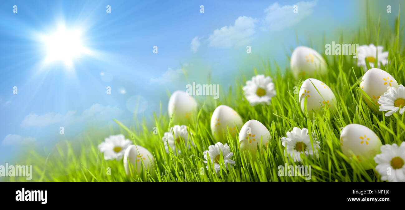 Les œufs de Pâques et du printemps dans le champ de fleurs Banque D'Images