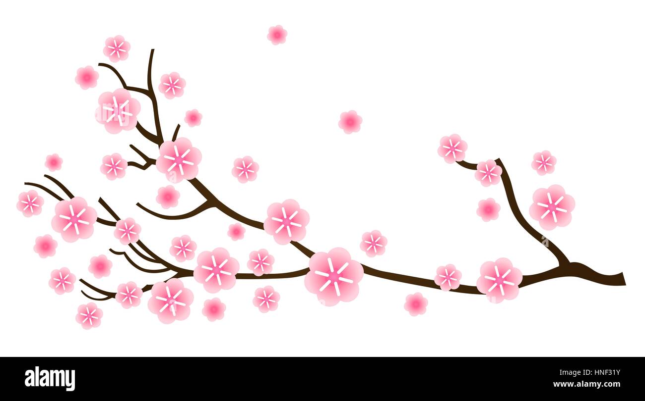 Fleur de cerisier, détail de la direction générale de sakura. Illustration de l'Art Banque D'Images