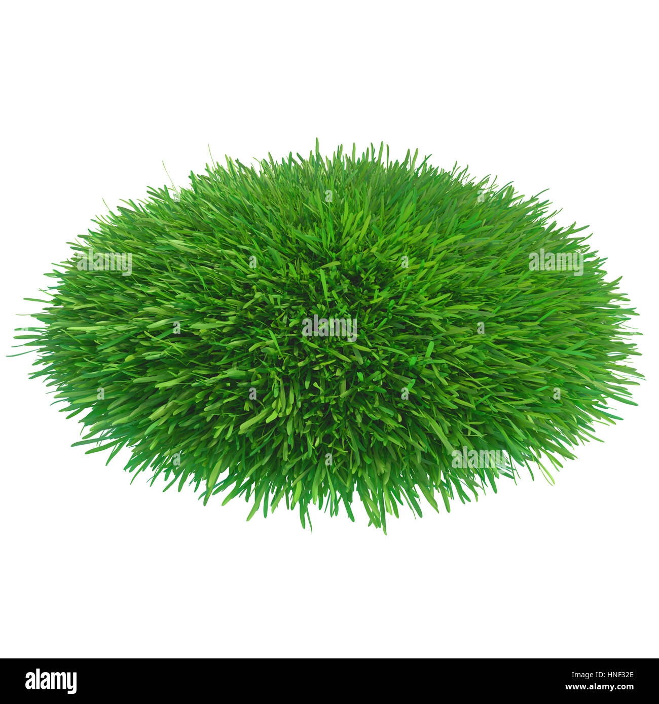 Nature de l'herbe verte Banque D'Images