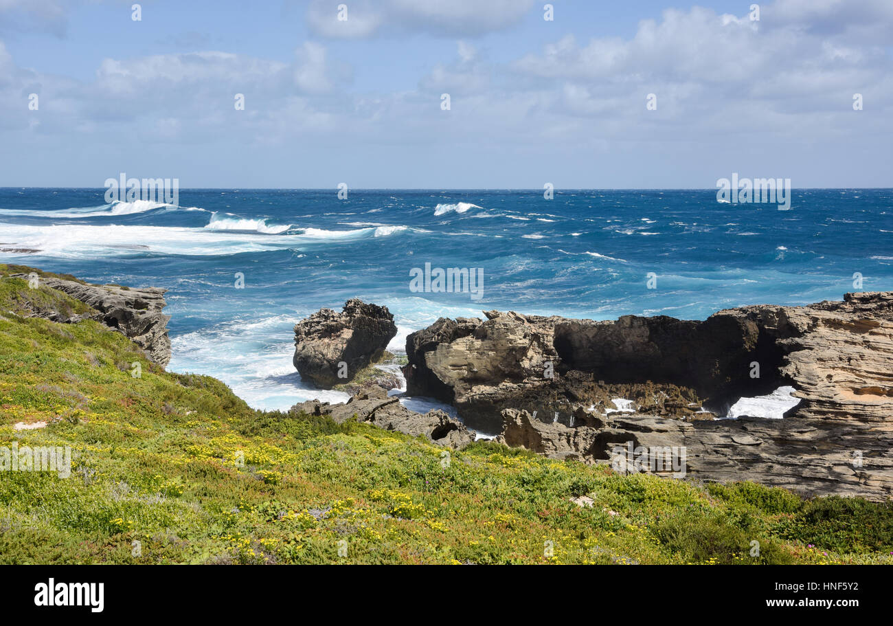 De puissantes vagues de l'Océan Indien et des formations calcaires naturelles au Cap Vlamingh sur Rottnest Island, dans l'ouest de l'Australie. Banque D'Images