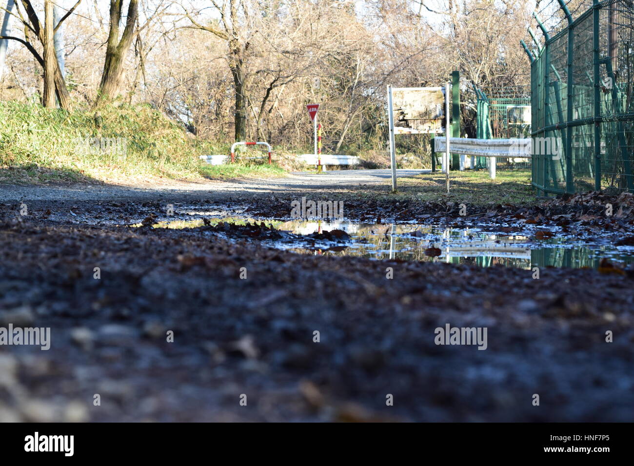 Sol forestier Road Banque D'Images