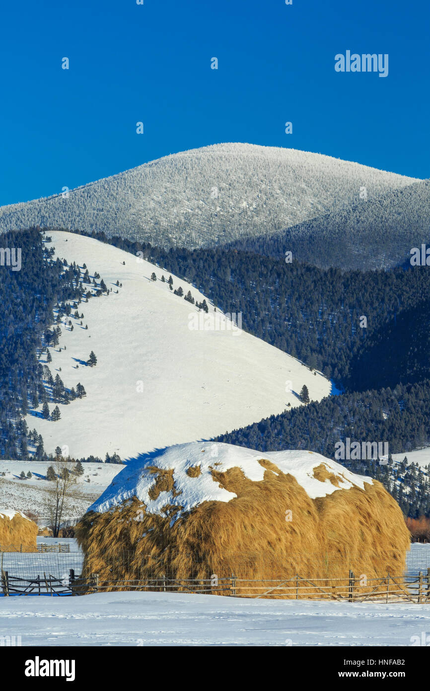 Les meules en hiver ci-dessous nevada le long de la ligne de partage près de helmville, Montana Banque D'Images