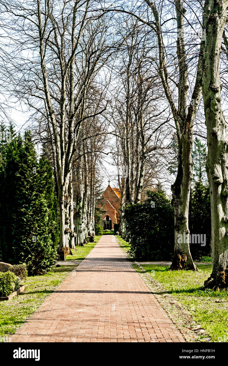 Baumbestandener auf einem Weg Friedhof ; ruelle sur un cimetière Banque D'Images