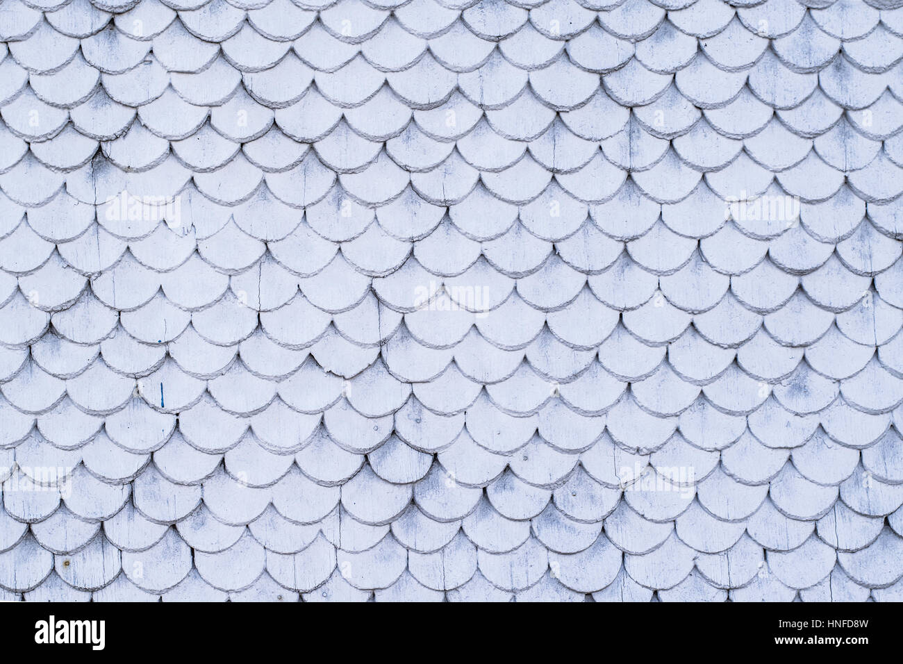 Poisson blanc écailles Banque D'Images