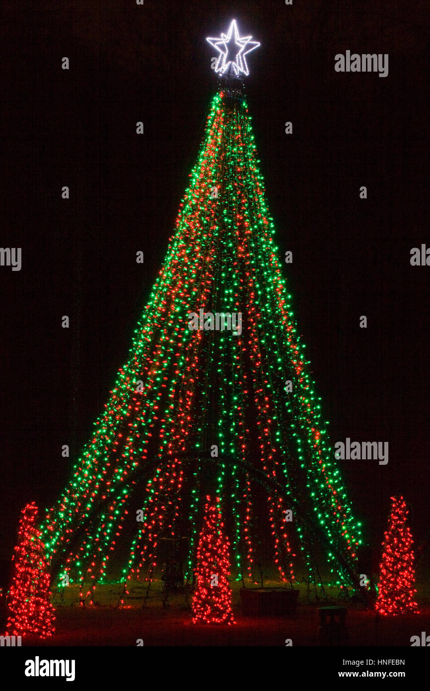 Les lumières d'arbre de Noël au Jardins Botaniques de Meadowlark - promenade hivernale de lumières. Banque D'Images