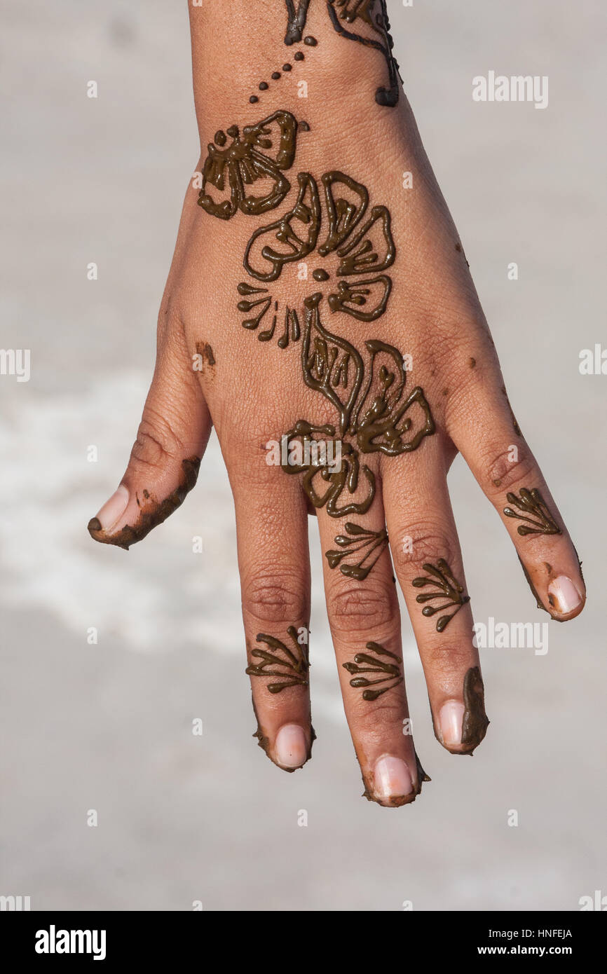 Les Filles Indiennes Mehndi Avec Sur Les Mainsmehndi Est L