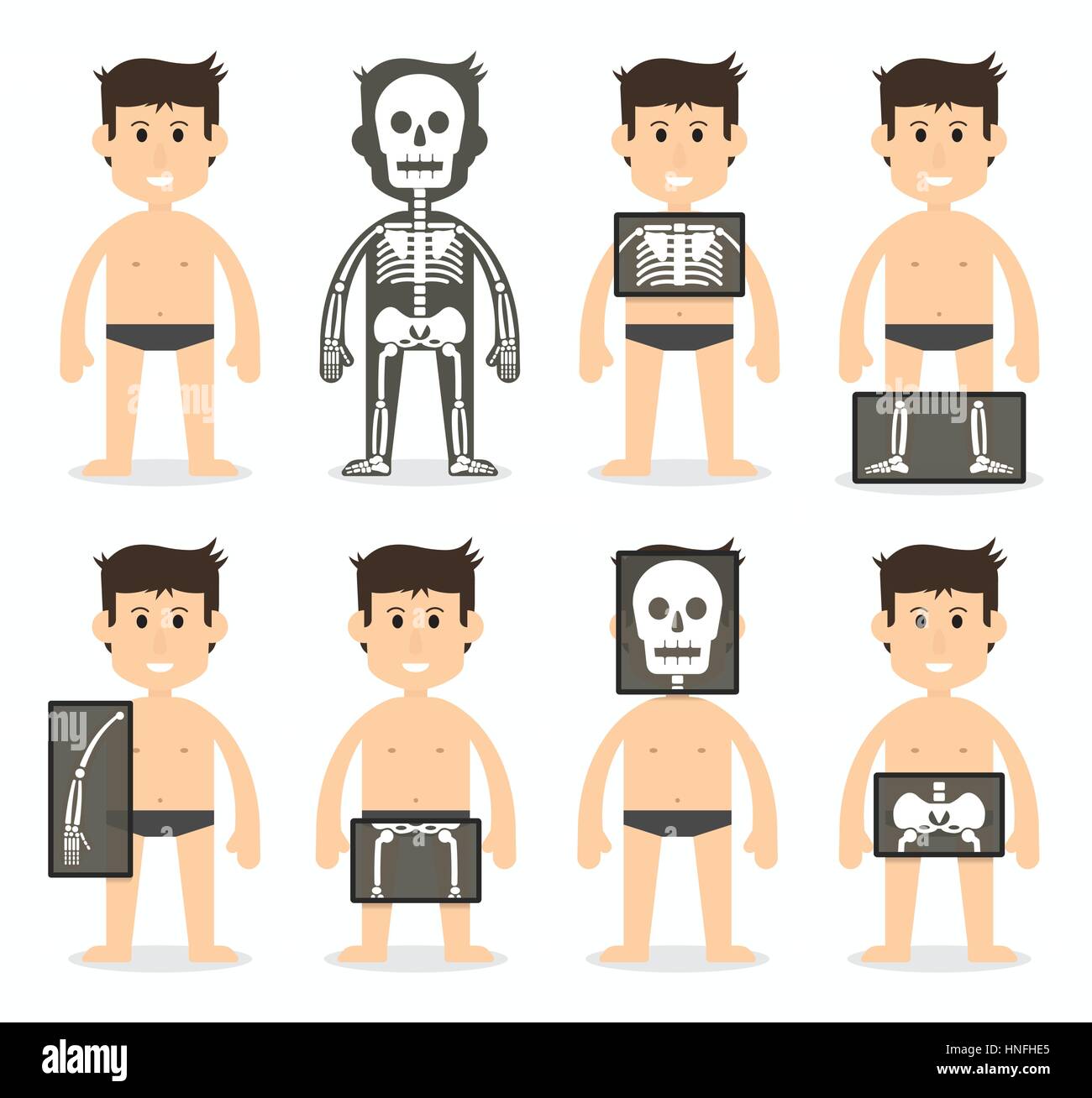 Les droits et la scintigraphie osseuse totale(crâne , cou , , épaule scapula bras Coude , , , , l'avant-bras Poignet , main , doigt , thorax rib , , , DOS , hip , pelvienne e Illustration de Vecteur