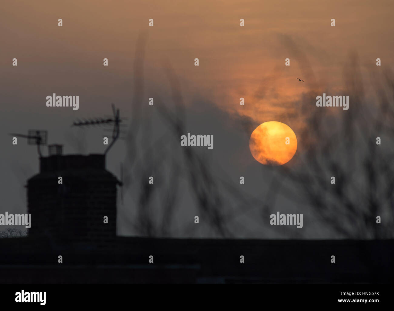 Wimbledon, Londres, Royaume-Uni. 13 février 2017. Après un week-end gris et froid, le soleil émerge enfin des nuages à l'heure de pointe le lundi matin sur les toits du sud-ouest de Londres. Crédit: Malcolm Park éditorial/Alamy Live News Banque D'Images