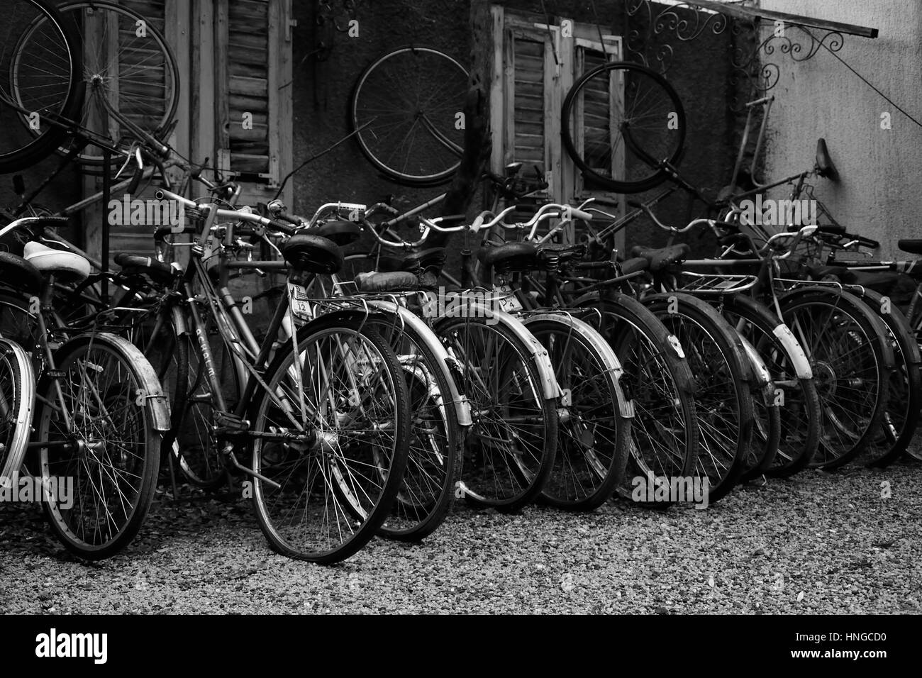 Groupe des bicyclettes en noir et blanc Banque D'Images