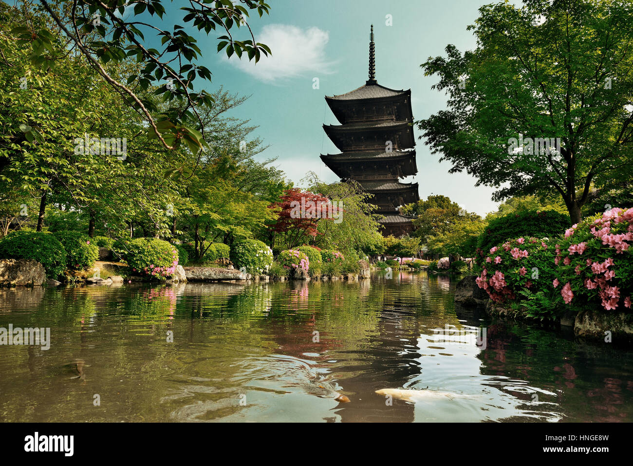 Temple Toji avec bâtiment historique et jardin à Kyoto, au Japon. Banque D'Images