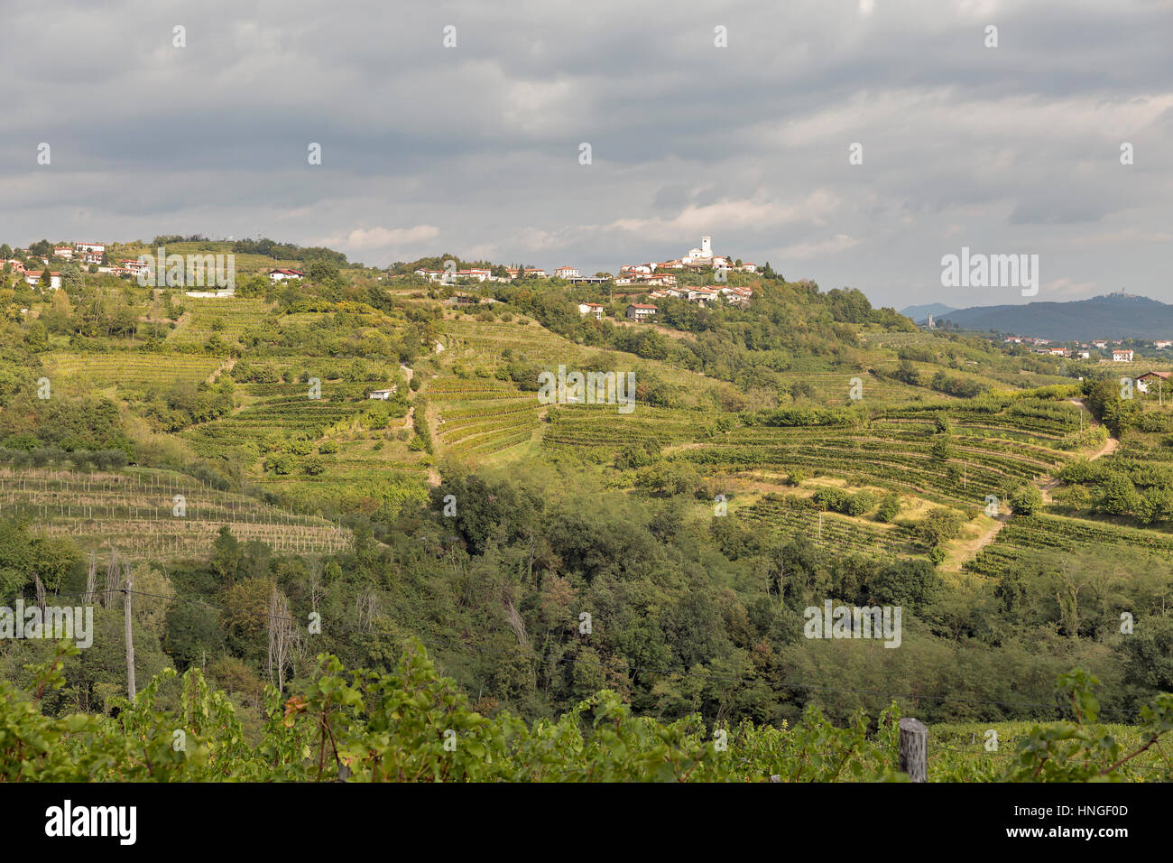 Paysage méditerranéen avec Smartno rural village médiéval et vignobles. Région sdrb dans l'ouest de la Slovénie. Banque D'Images