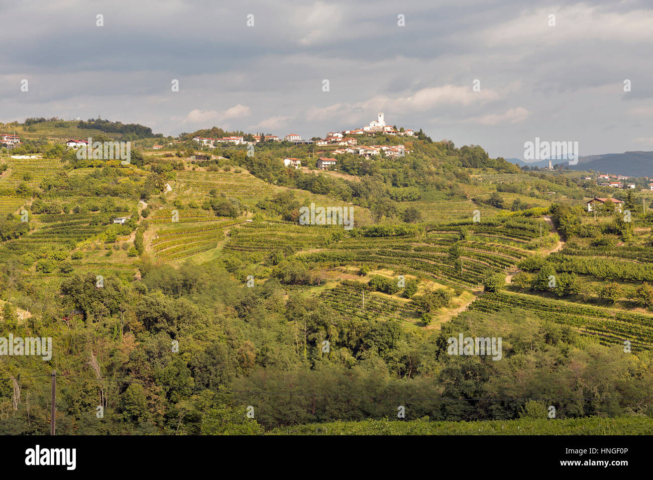 Paysage méditerranéen avec Smartno rural village médiéval et vignobles. Région sdrb dans l'ouest de la Slovénie. Banque D'Images