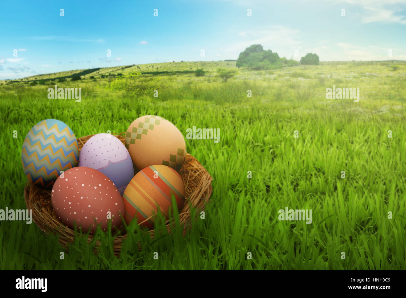 Les oeufs de Pâques sur nichent dans le champ vert contre fond de ciel bleu Banque D'Images