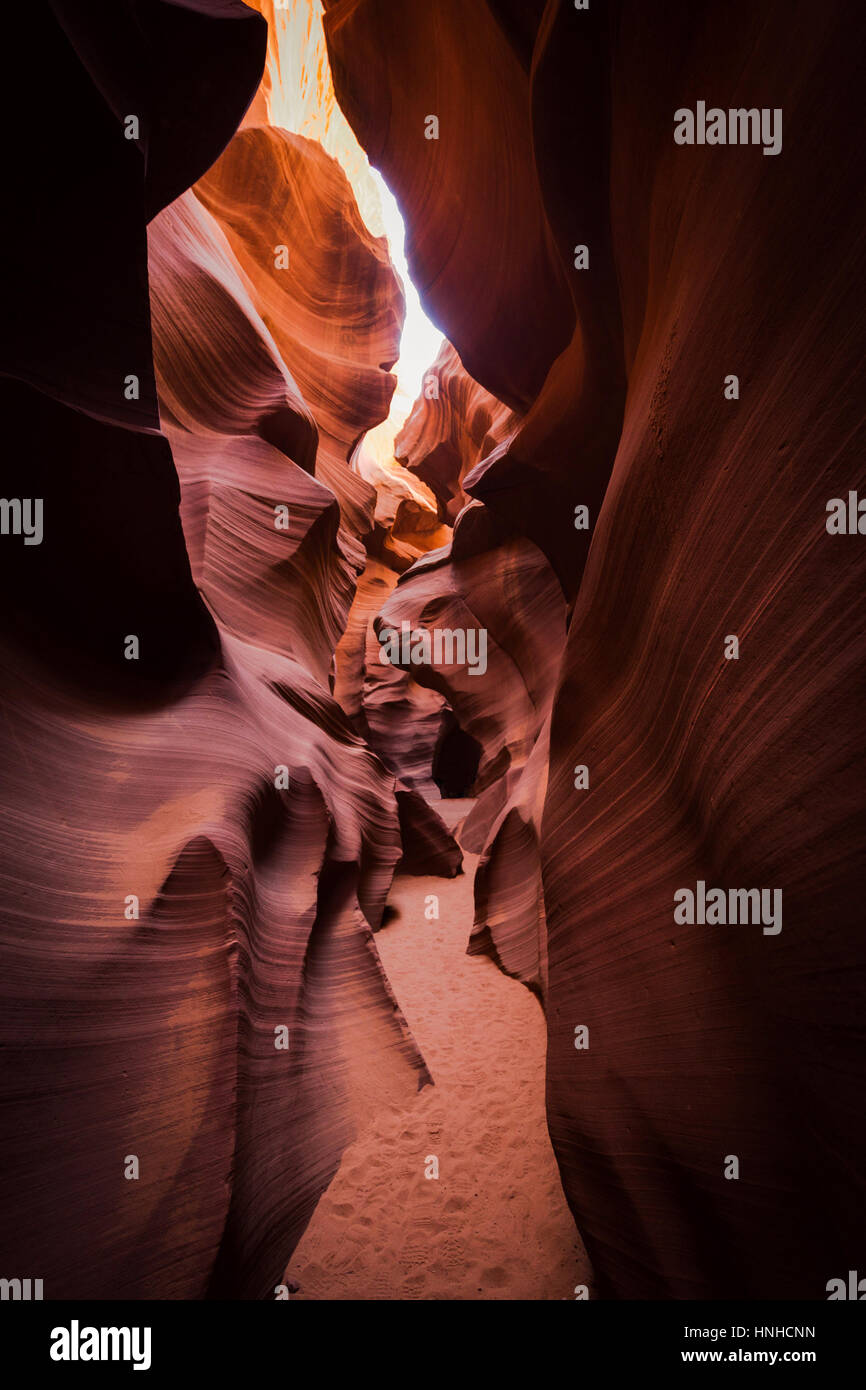 Belle vue verticale des formations de grès étonnantes dans célèbre Antelope Canyon sur une journée ensoleillée en été, Page, Arizona, sud-ouest américain, USA Banque D'Images
