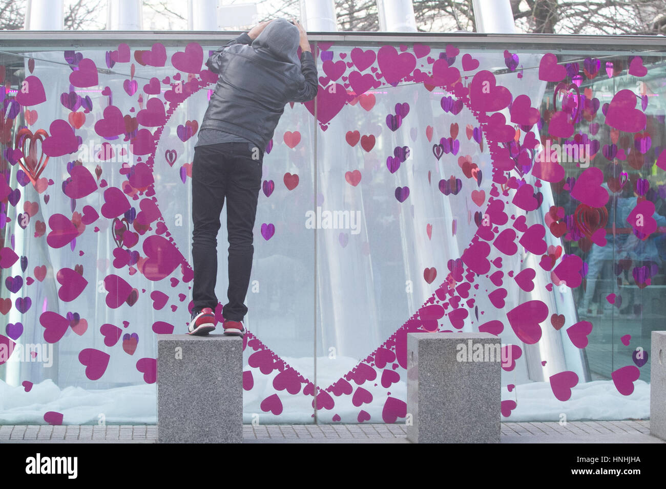 Londres, Royaume-Uni. Feb 13, 2017. Un homme se tient devant un coeur géant sticker un jour avant la Saint-Valentin le 14 février Crédit : amer ghazzal/Alamy Live News Banque D'Images