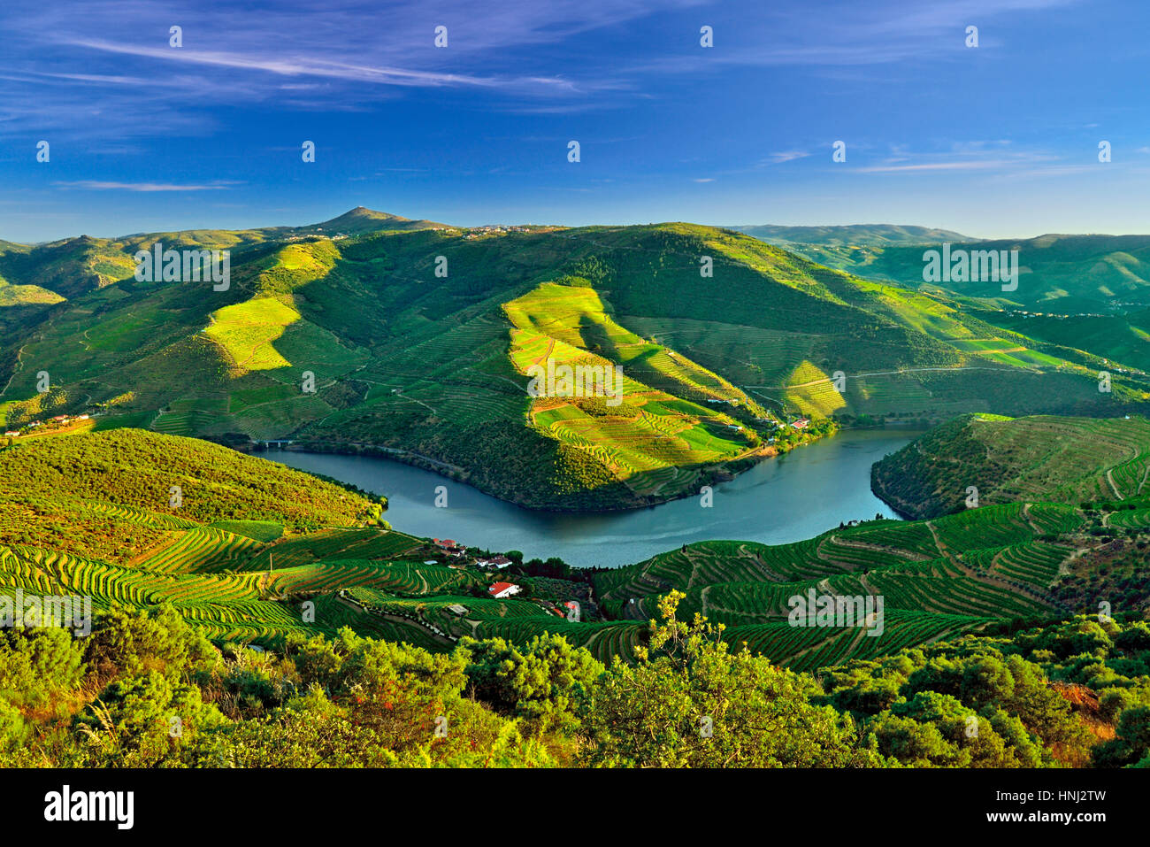 Vue panoramique de la vallée du Douro, dans le nord du Portugal Banque D'Images