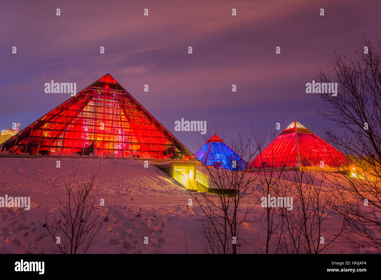 Allumé Muttart Conservatory pyramids, un jardin botanique à Edmonton, Alberta, Canada Banque D'Images