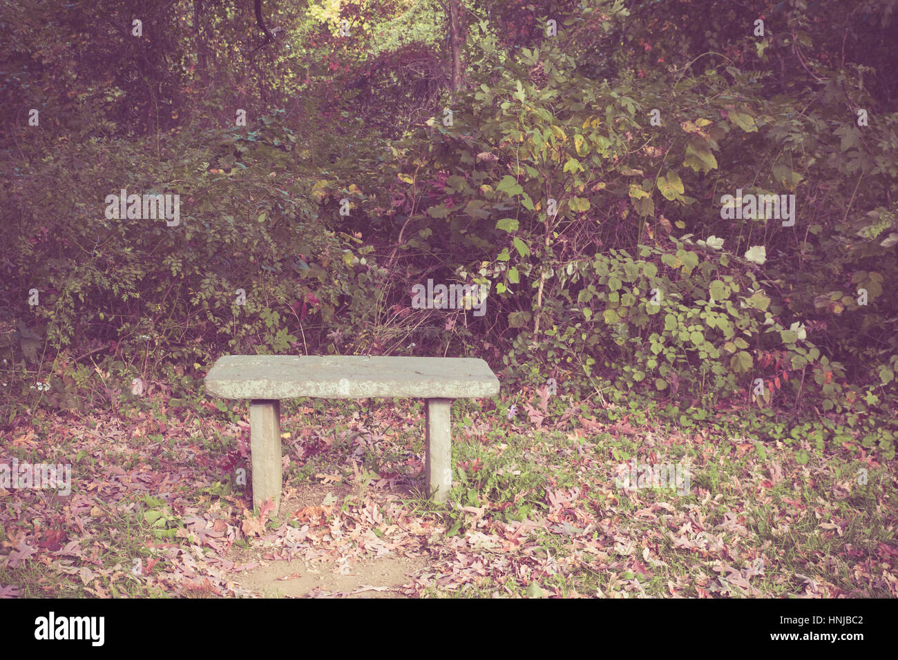 Petit Banc En Pierre Dans La Nature Avec Ton Filtre Vintage Photo Stock Alamy