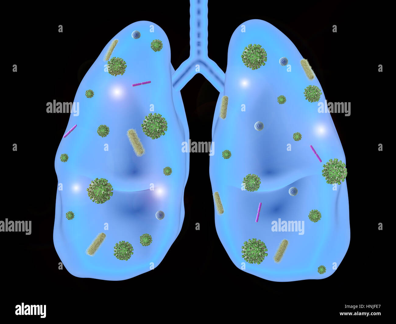 La maladie pulmonaire de rendu 3D avec les cellules des bactéries Banque D'Images