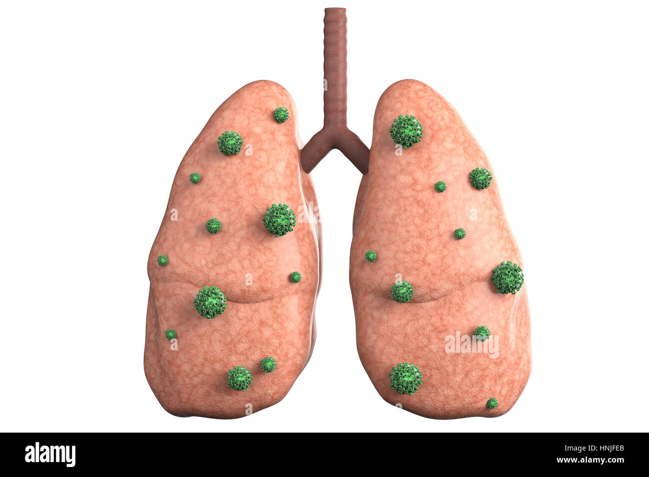 La maladie pulmonaire de rendu 3D avec les cellules des bactéries Banque D'Images