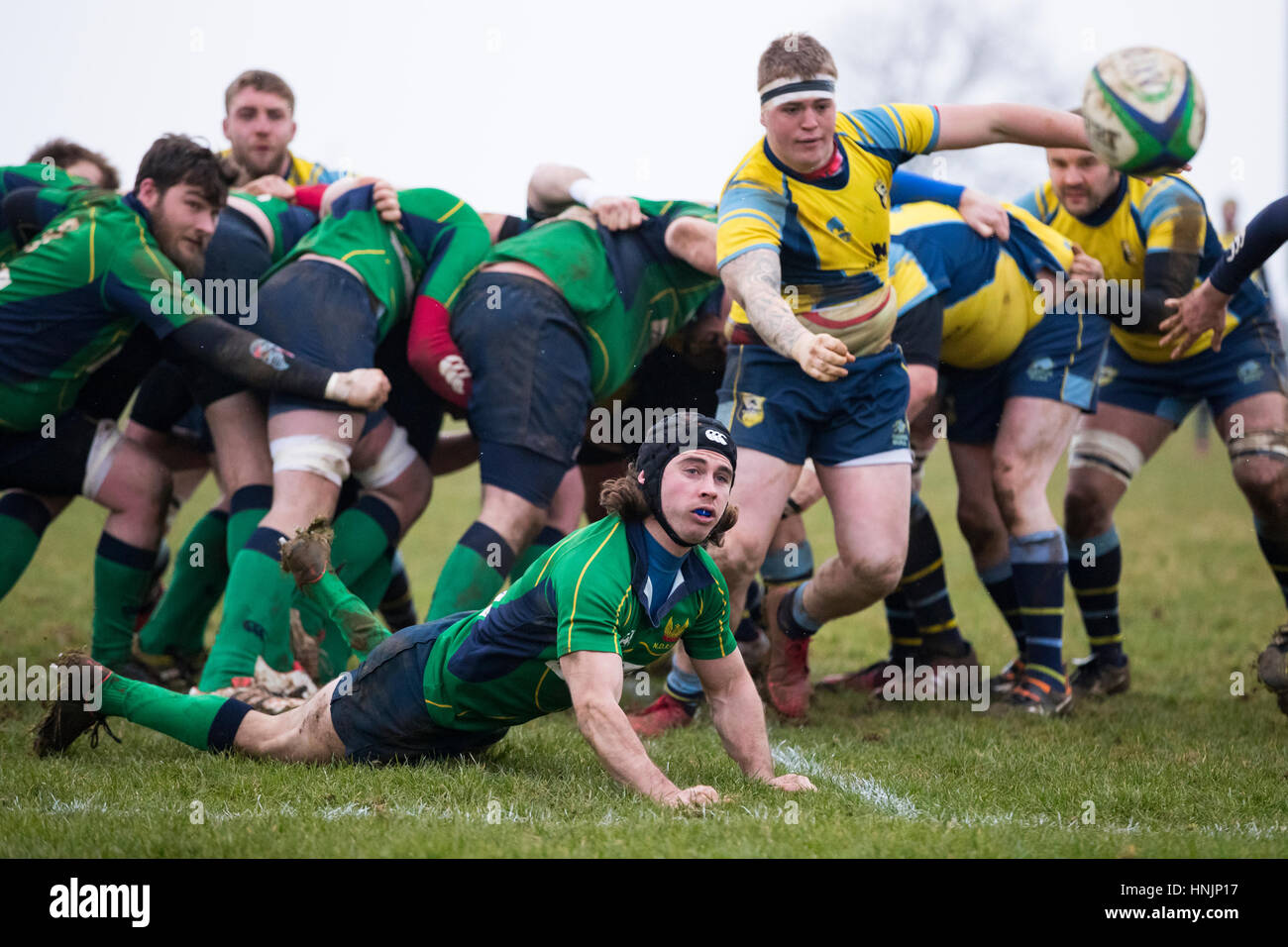 Nord du Dorset RFC RFC Trowbridge vs XV 1er 1er XV Samedi, 11 fév 2017 Sat - Gillingham, Dorset, Angleterre. Dorset fly la moitié en action Banque D'Images