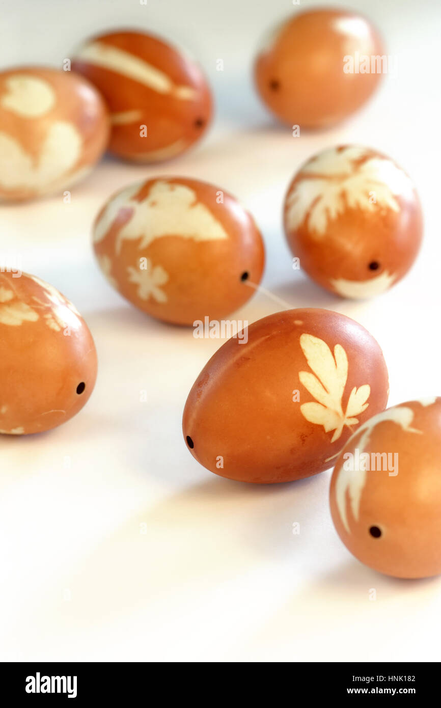 Photo d'œufs de Pâques qui ont été colorées avec des peaux d'oignon et de feuilles. Profondeur de champ à l'accent sur le milieu des oeufs. Banque D'Images