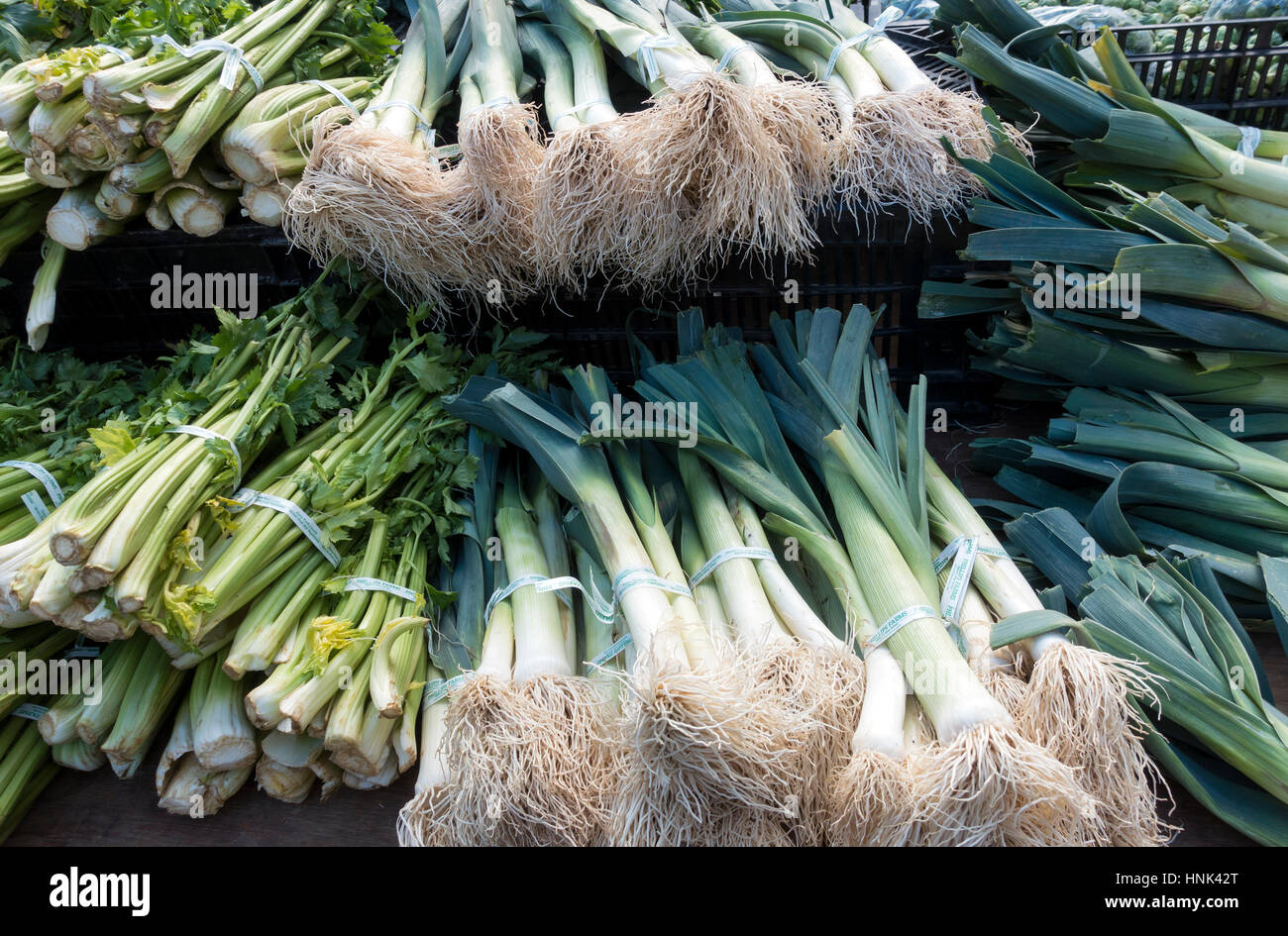 Les poireaux à la vente à un marché de producteurs Banque D'Images