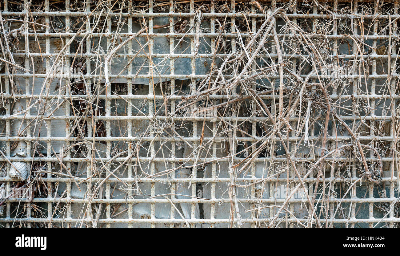 Détails d'une vieille clôture filaire, vue rapprochée. Banque D'Images