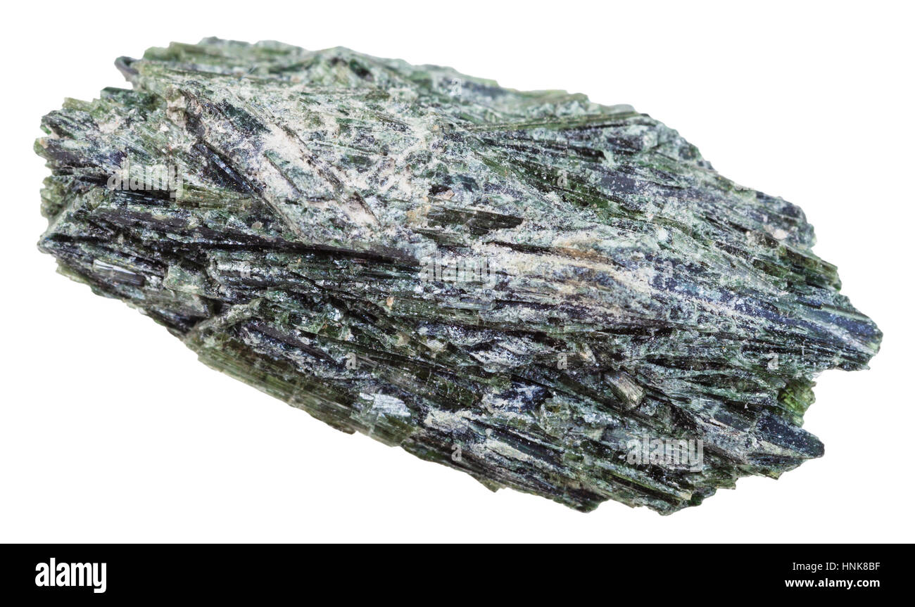 La prise de vue macro de collection géologique minéral - modèle de cristaux de l'Actinolite isolé sur fond blanc Banque D'Images