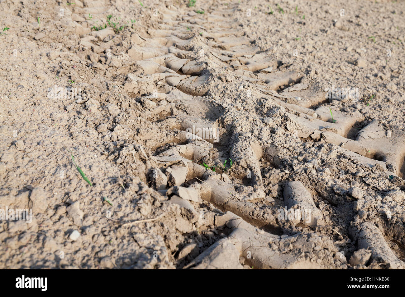 Traces de roues sur le terrain Banque D'Images