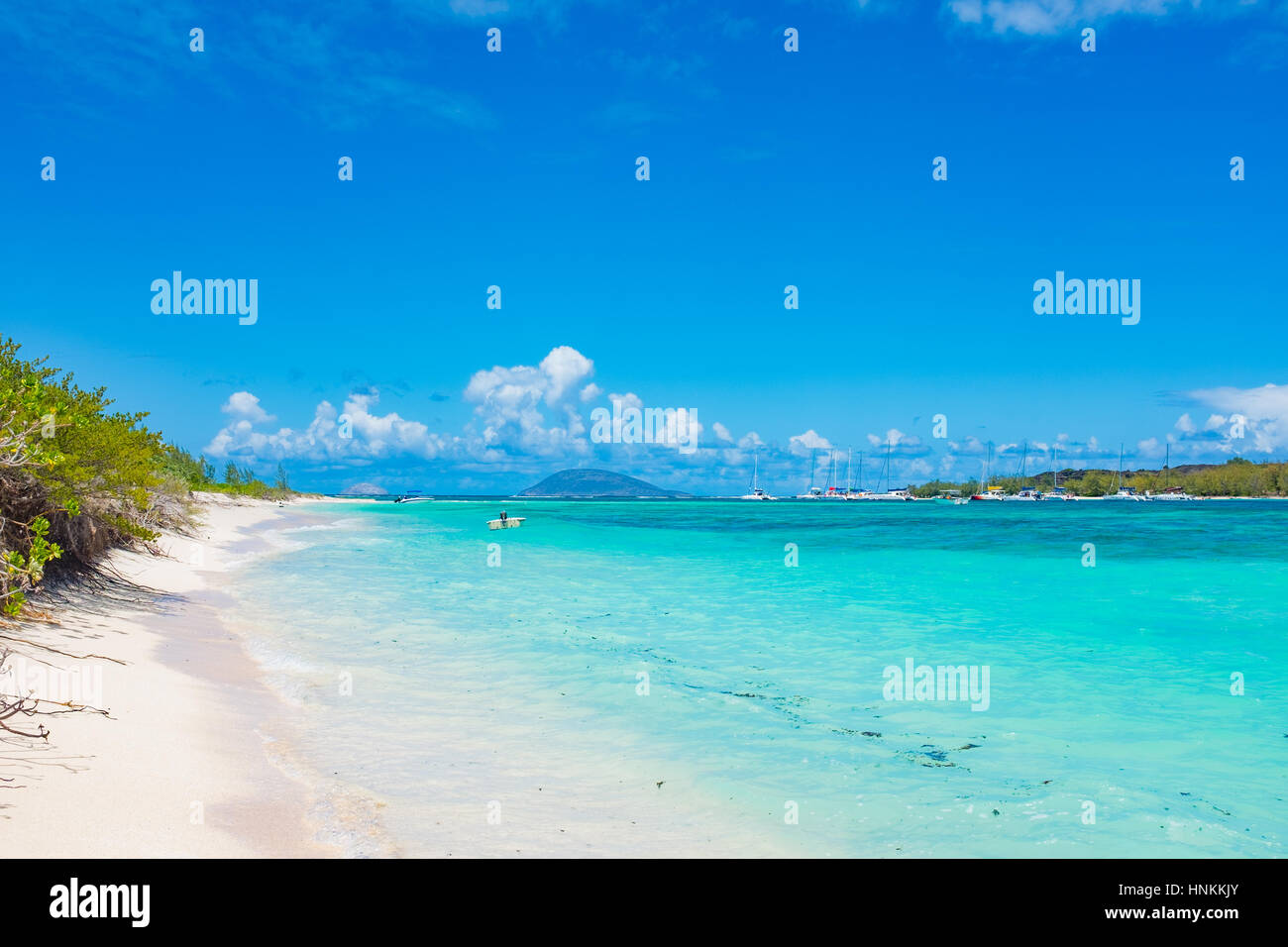 Amazing plages blanches de l'île Maurice. Vacances tropicales Photo Stock Alamy