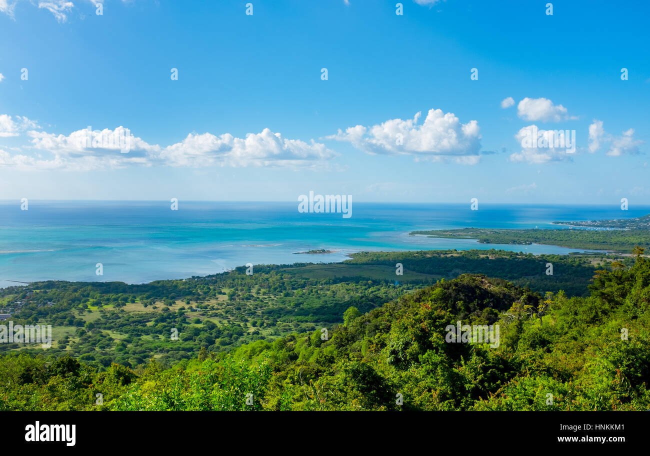 Jungle paradis sur l'Ile Maurice Banque D'Images