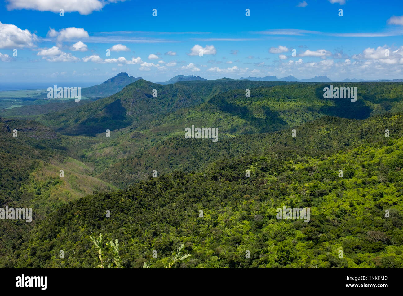 Jungle paradis sur l'Ile Maurice Banque D'Images