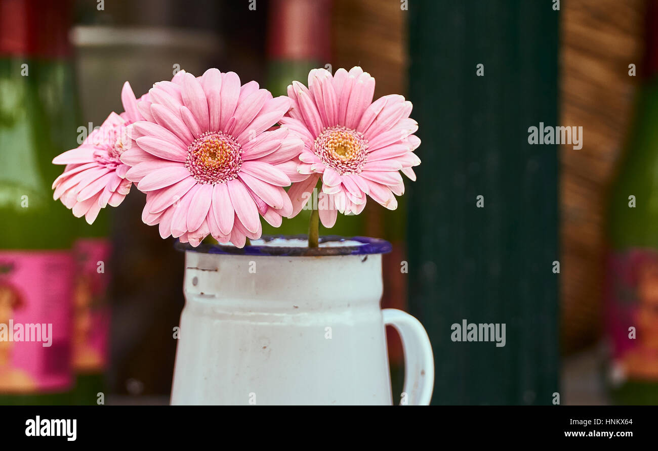 Gerbera rose fleurs daisy dans une verseuse en métal à l'extérieur Banque D'Images