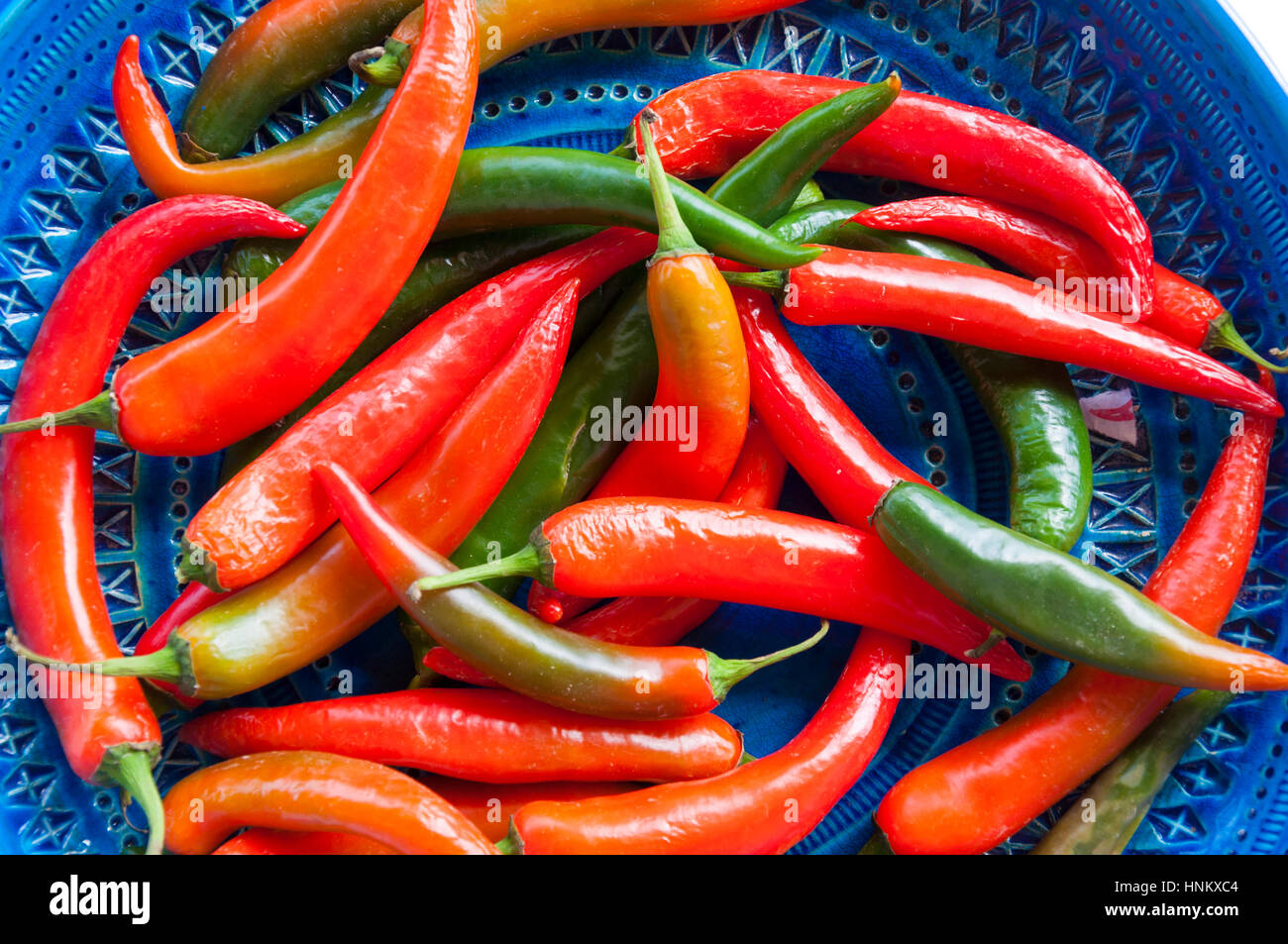 Chili Peppers, chili, chili, des plantes du genre Capsicum, membres de la famille des solanacées, Solanaceae. Banque D'Images