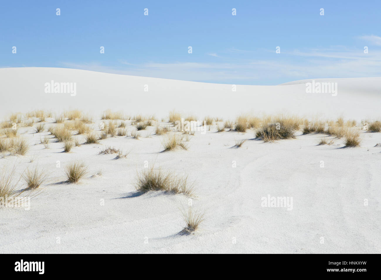 White Sands National Park Banque D'Images