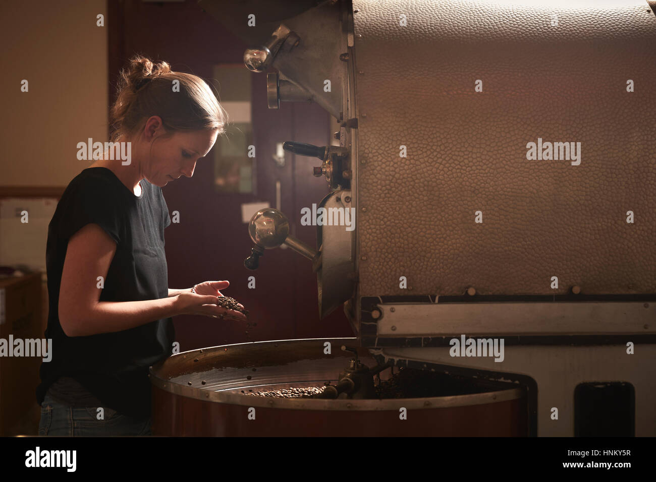 Une femme le test d'une poignée de grains de café torréfié. Banque D'Images