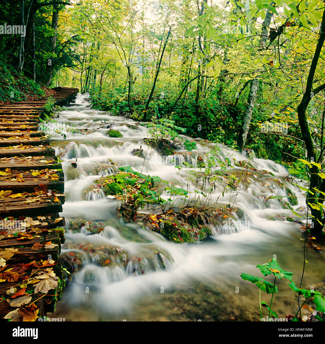 Le Parc National de Plitvice cascade Banque D'Images